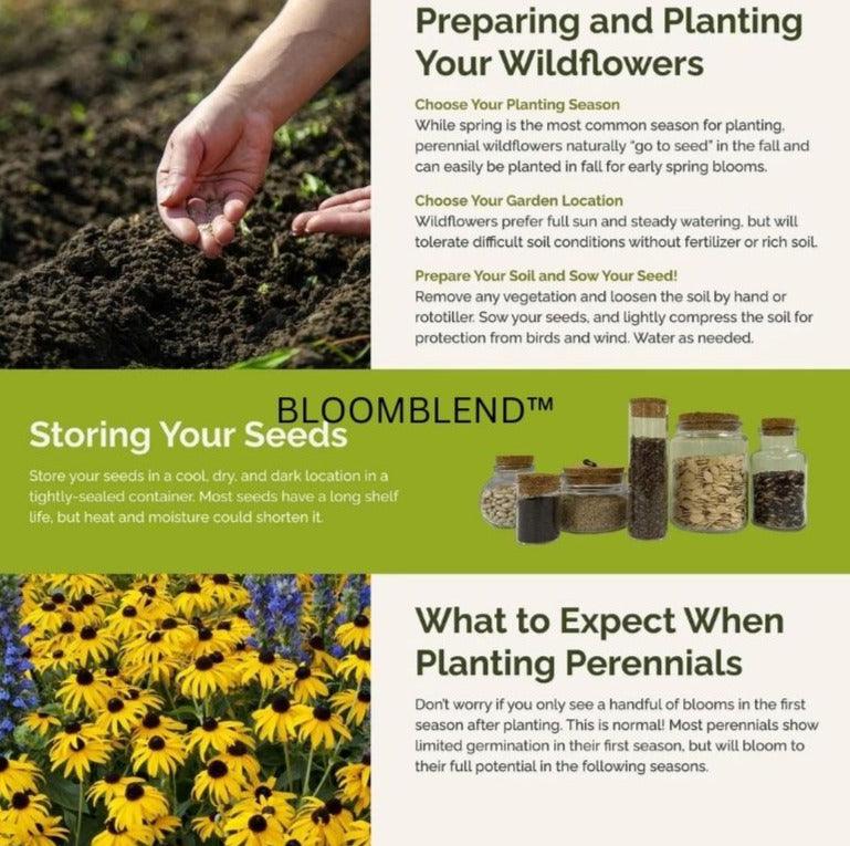 TILLFÄLLIGT 50% RABATT | BloomBlend™ | Blandade Blomfrön - Image 4