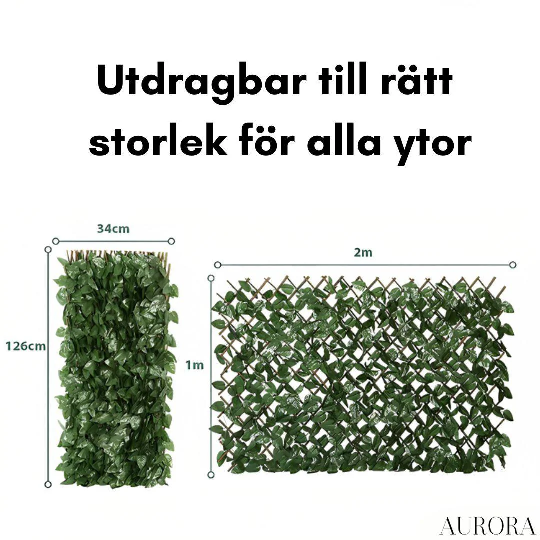 1 + 1 GRATIS IDAG | Gardenscape™ - Image 3