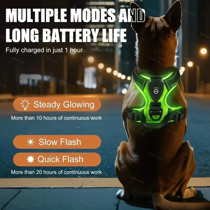 TILLFÄLLIGT 50% OFF | GloLeash™ - Image 2