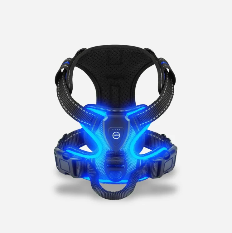 TILLFÄLLIGT 50% OFF | GloLeash™ - Image 6