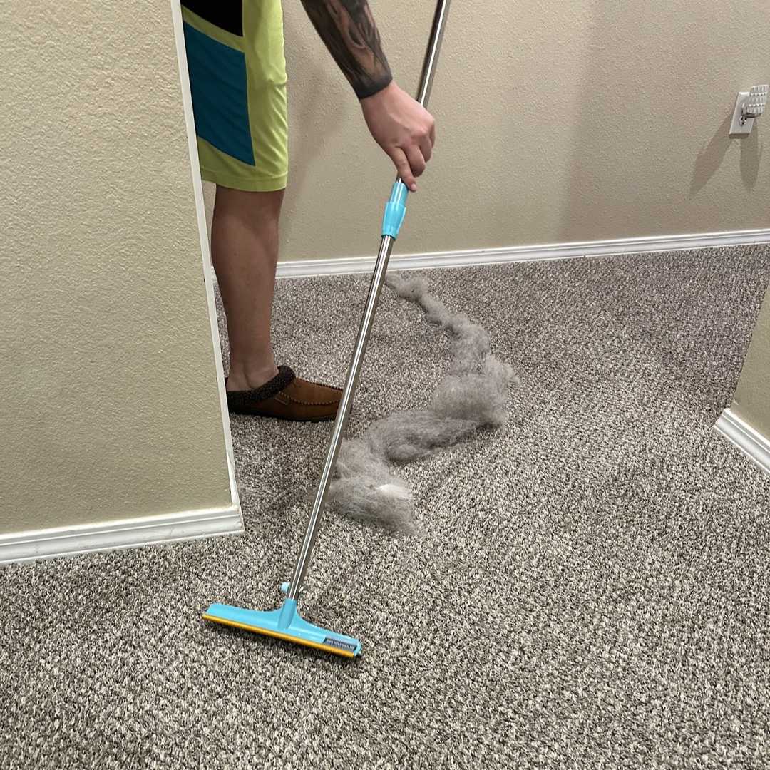 HairSweep™ | Matta kratta Hårborttagningssats för husdjur - Image 5