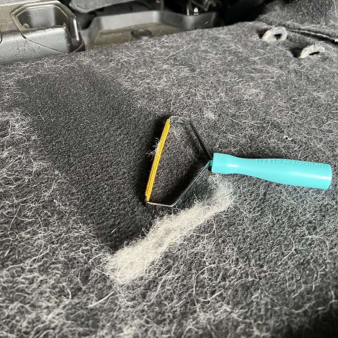 HairSweep™ | Matta kratta Hårborttagningssats för husdjur - Image 7