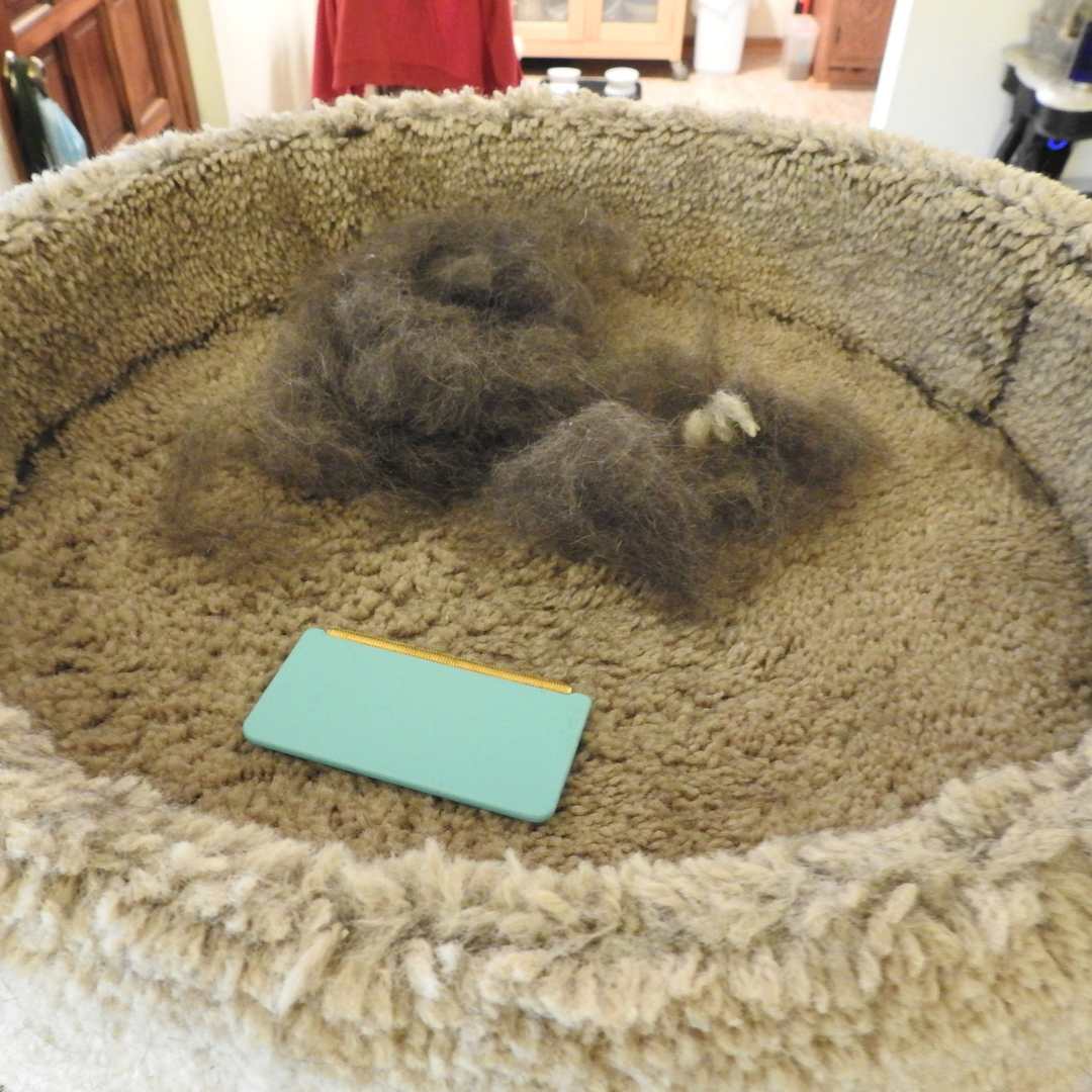 HairSweep™ | Matta kratta Hårborttagningssats för husdjur - Image 8