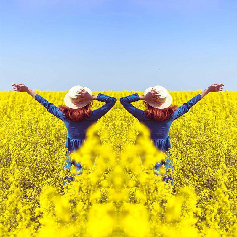 TILLFÄLLIGT 50% OFF | HoloSnap™ - Image 5