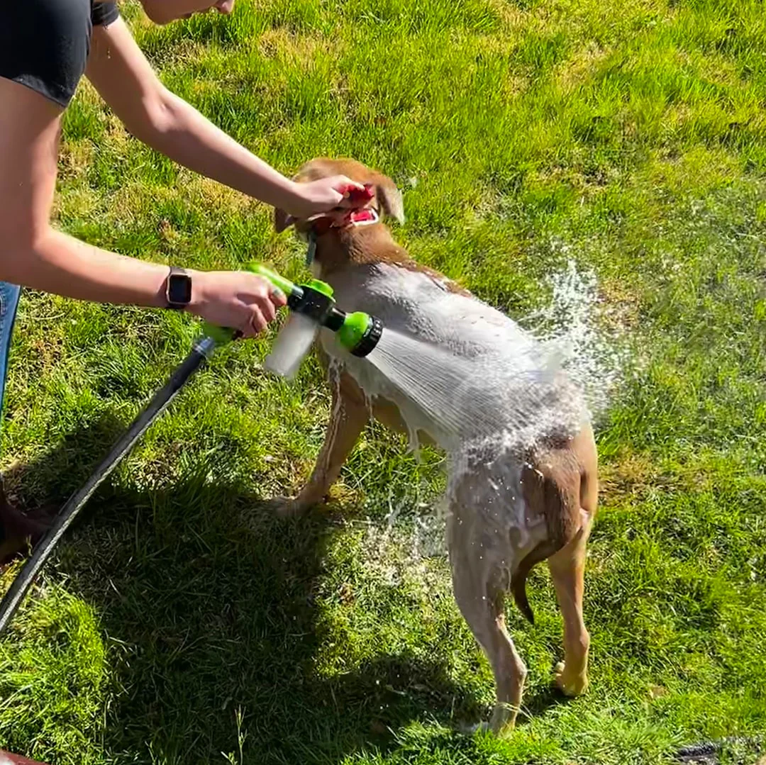 JetPaws™ | Högtryckspistol för hunddusch - Image 2