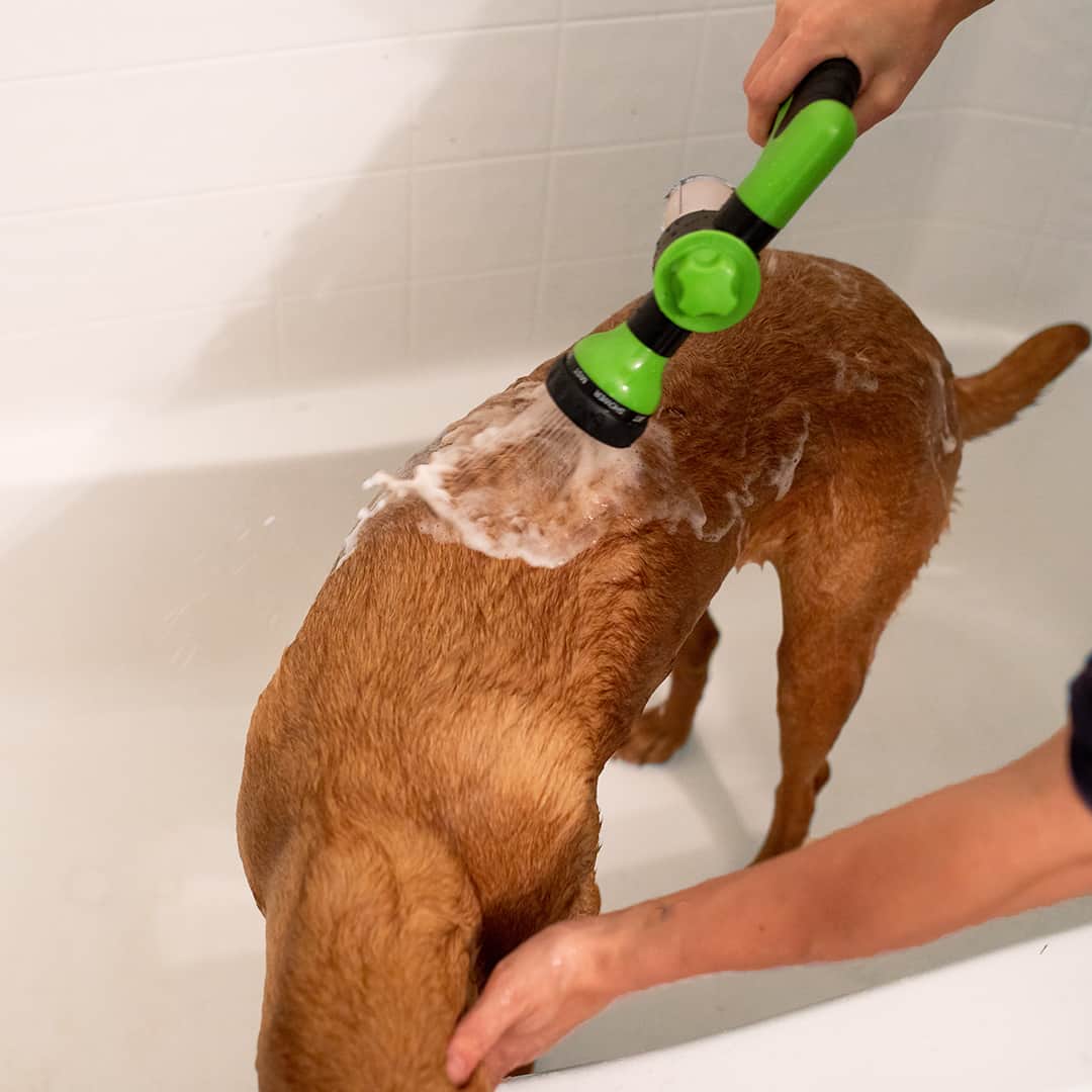JetPaws™ | Högtryckspistol för hunddusch - Image 6