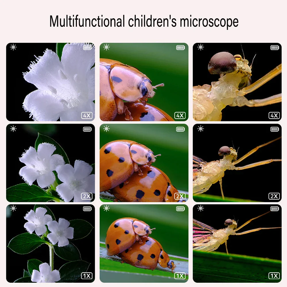 MicroExplorer™ | Digitalt handhållet förstorande mikroskop - Image 2