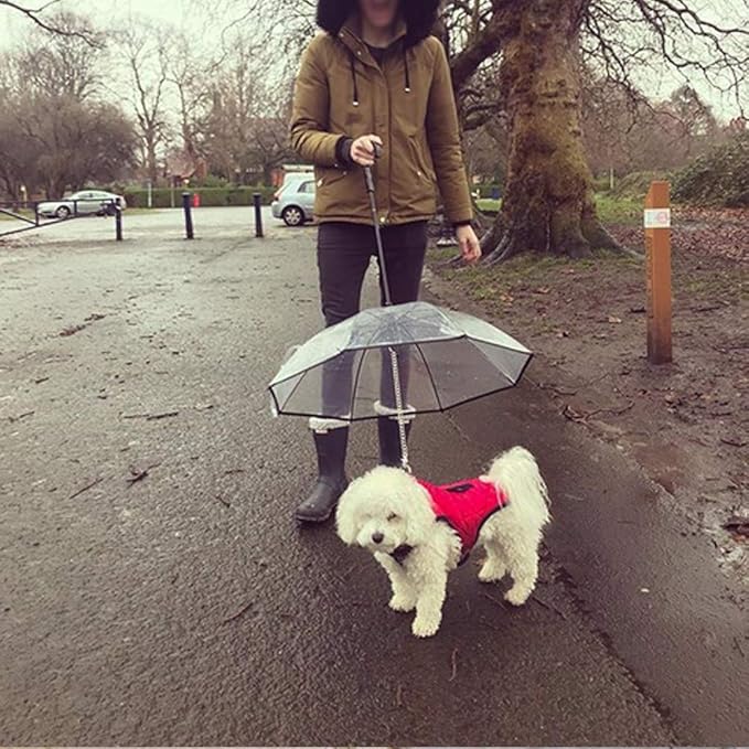 TILLFÄLLIGT 50% OFF | PawBrella™ - Image 2