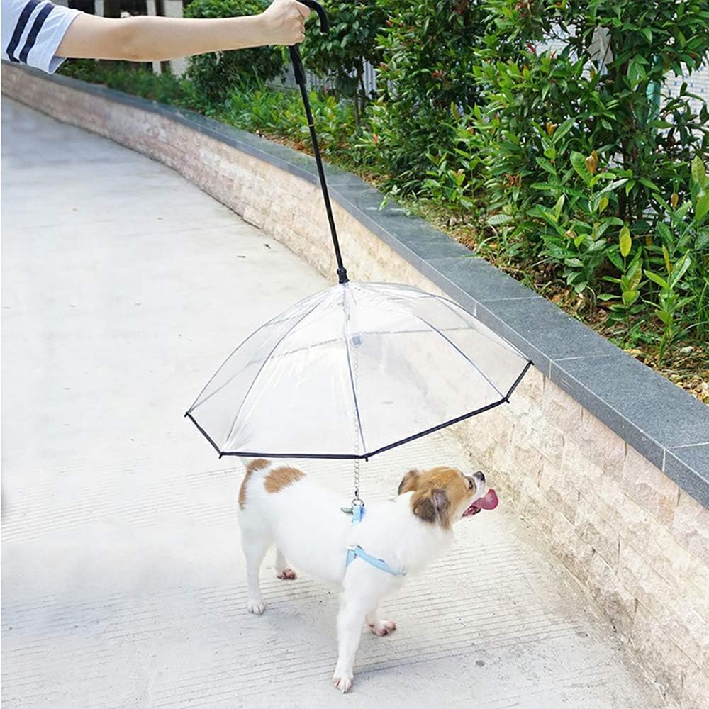 TILLFÄLLIGT 50% OFF | PawBrella™ - Image 3