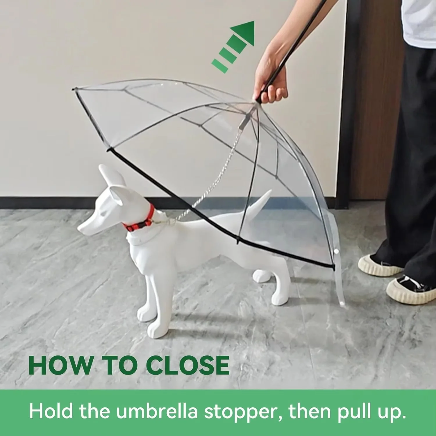 TILLFÄLLIGT 50% OFF | PawBrella™ - Image 4