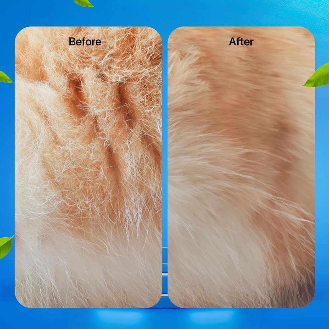 1 + 1 GRATIS HEUTE | PawFresh™ - Image 2