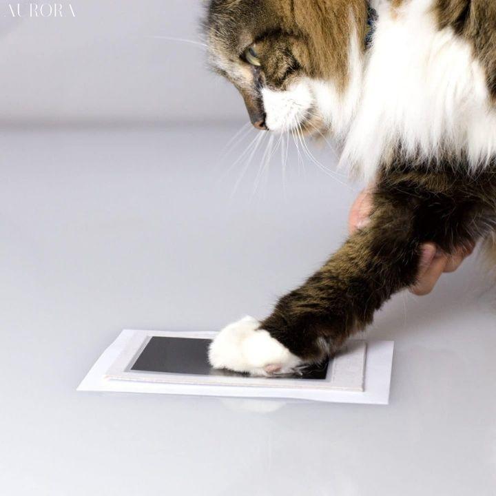 PawMemoirs™ - Souvenir med tassavtryck - Image 5