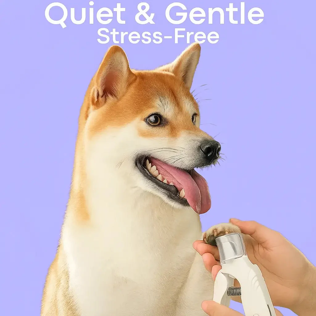 TILLFÄLLIGT 50% OFF | PawProtec™ - Image 2