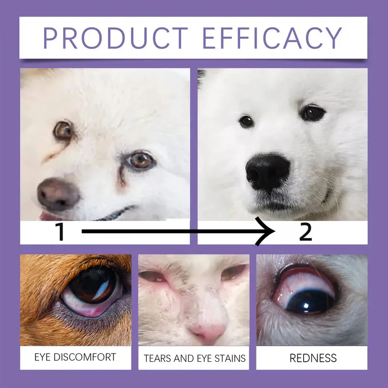 1 + 1 GRATIS IDAG | PawVision™ - Image 2