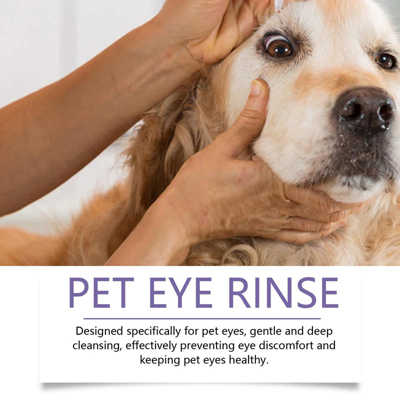 1 + 1 GRATIS IDAG | PawVision™ - Image 7