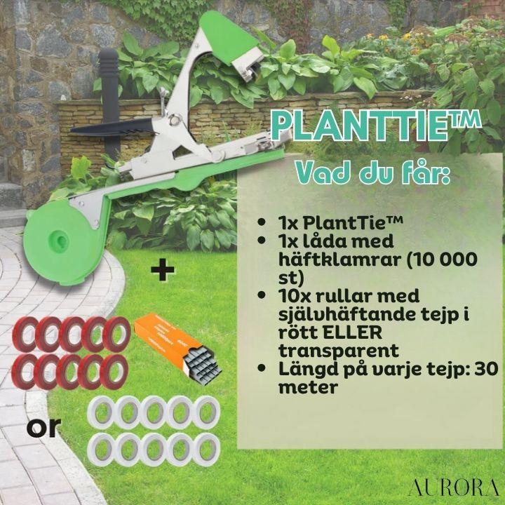 TILLFÄLLIGT 50% RABATT | PlantTie™ | Bind växter minst 3 gånger snabbare! - Image 11