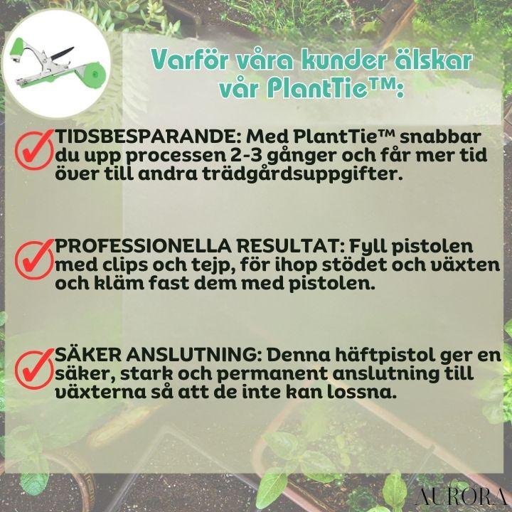 TILLFÄLLIGT 50% RABATT | PlantTie™ | Bind växter minst 3 gånger snabbare! - Image 12
