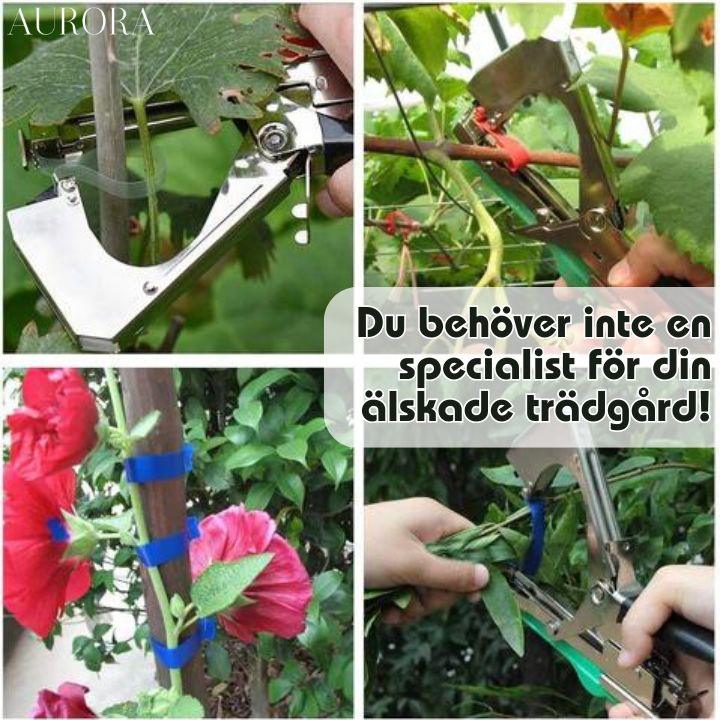 TILLFÄLLIGT 50% RABATT | PlantTie™ | Bind växter minst 3 gånger snabbare! - Image 3