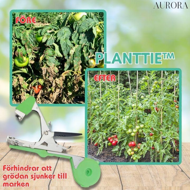 TILLFÄLLIGT 50% RABATT | PlantTie™ | Bind växter minst 3 gånger snabbare! - Image 5
