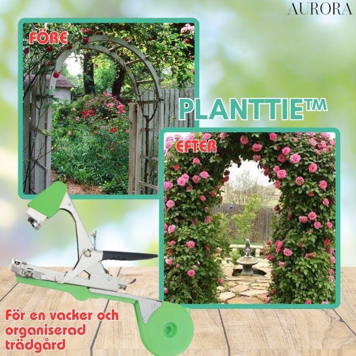TILLFÄLLIGT 50% RABATT | PlantTie™ | Bind växter minst 3 gånger snabbare! - Image 6