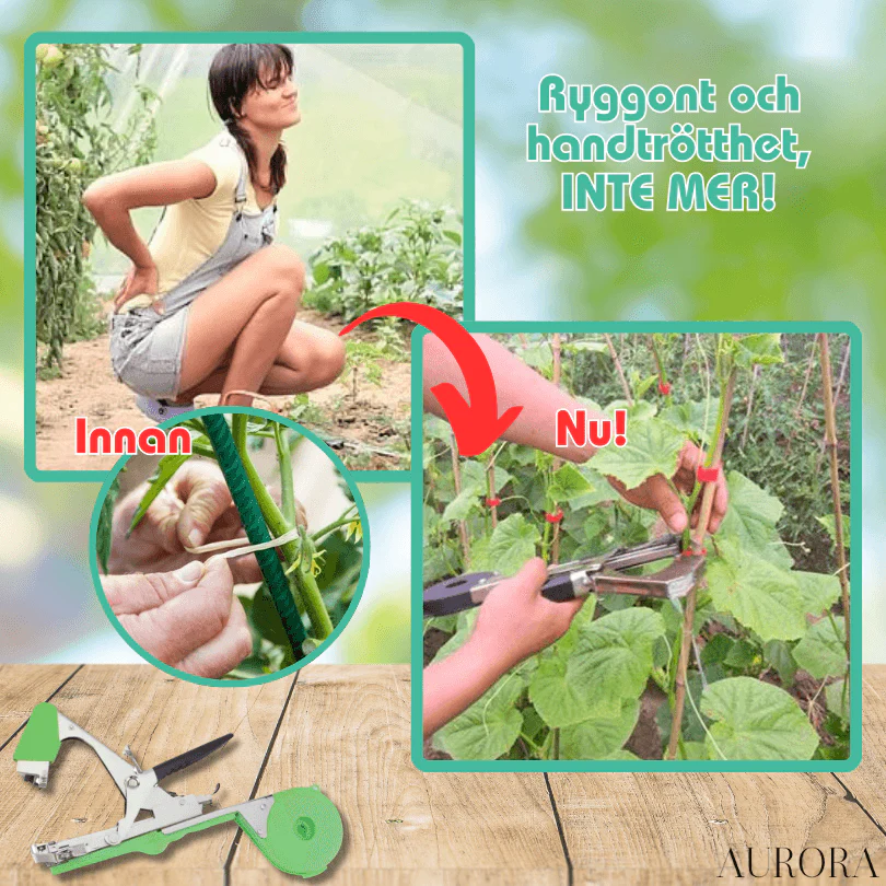 TILLFÄLLIGT 50% RABATT | PlantTie™ | Bind växter minst 3 gånger snabbare! - Image 8