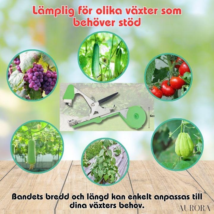 TILLFÄLLIGT 50% RABATT | PlantTie™ | Bind växter minst 3 gånger snabbare! - Image 9