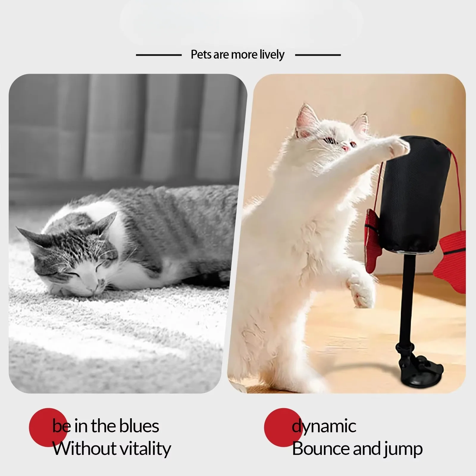 TILLFĂLLIGT 50% OFF | PounceBagâą - Image 3