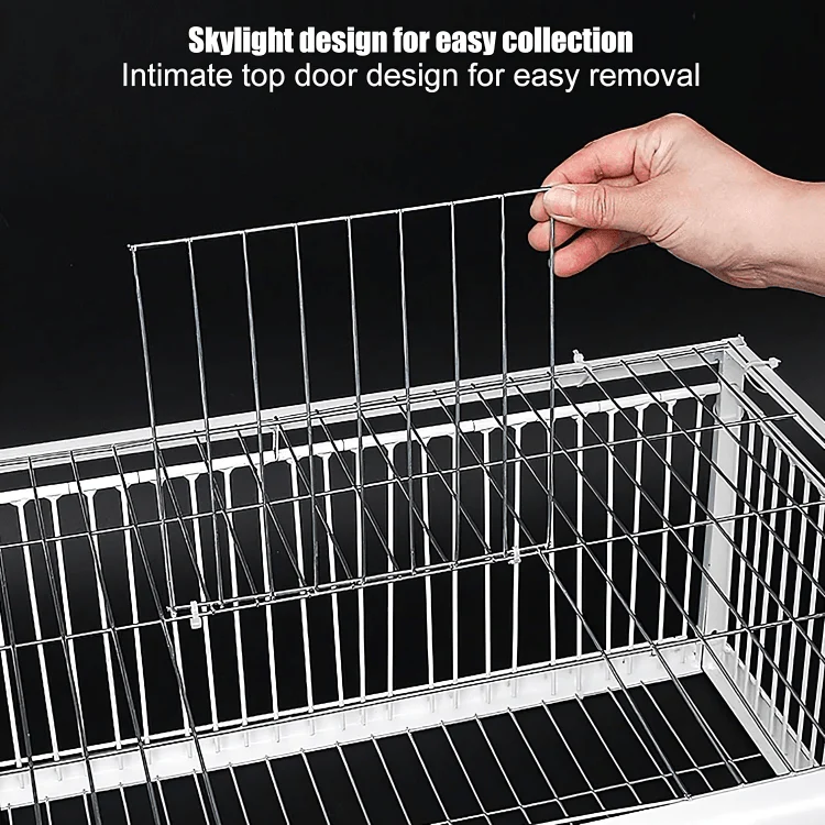 SafeTrap™ | Fågelbur - Image 8