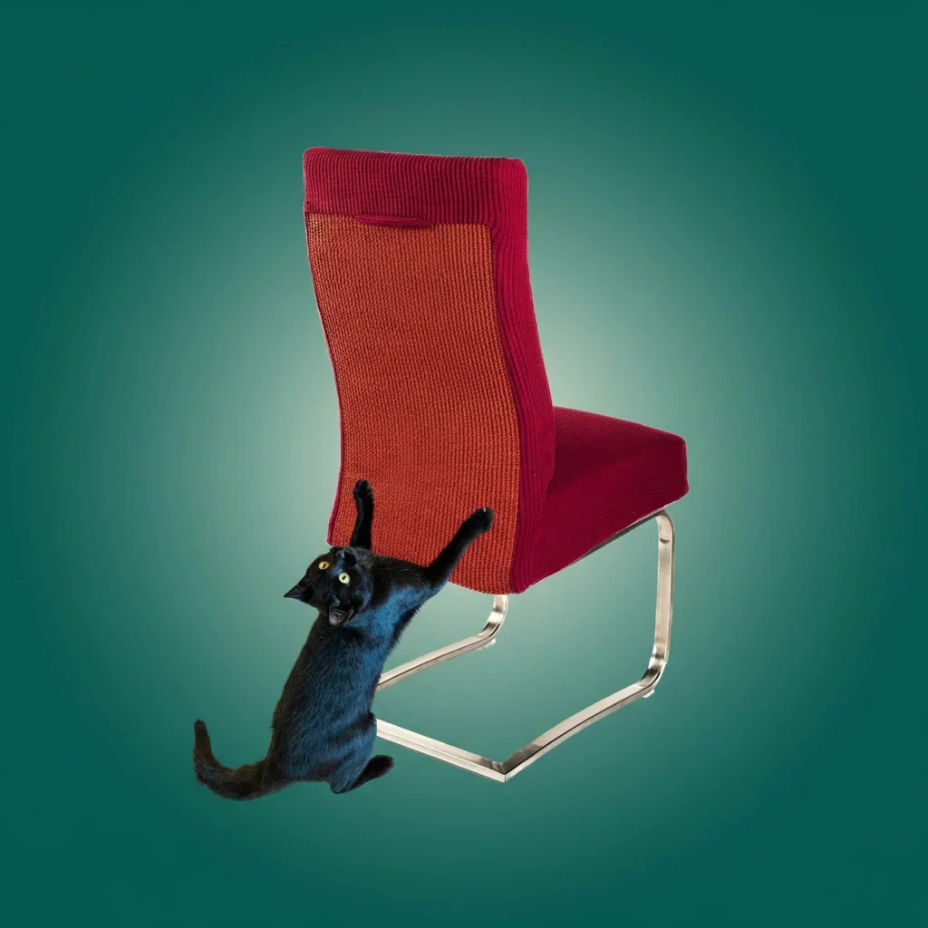 TILLFÄLLIGT 50% OFF | ScratchSeat™ - Image 13
