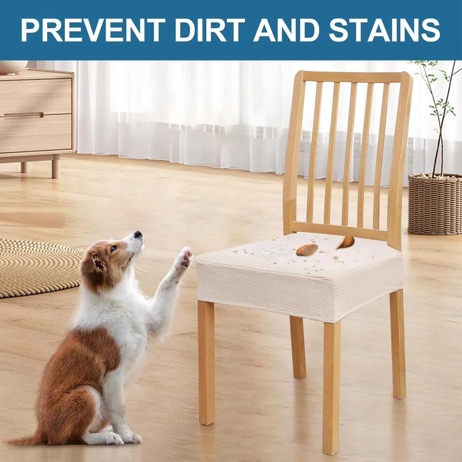2 + 2 GRATIS IDAG | SeatShield™ - Image 4