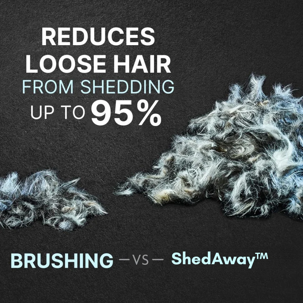 TILLFÄLLIGT 50% OFF | ShedAway™ - Image 2