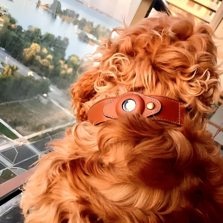 TrackTails™ | Hundhalsband av läder med AirTag-ficka - Image 4