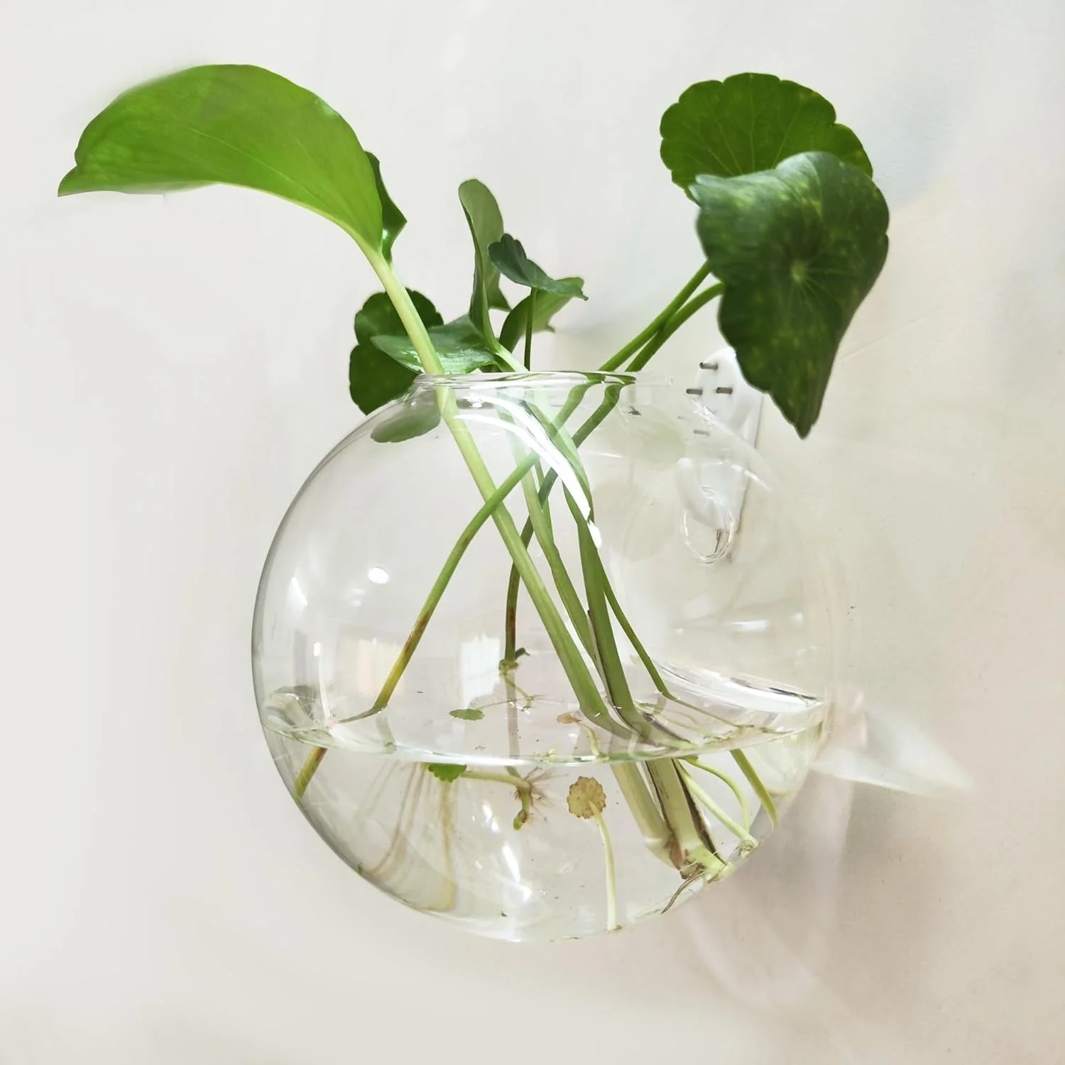 Miniatyrbild 2