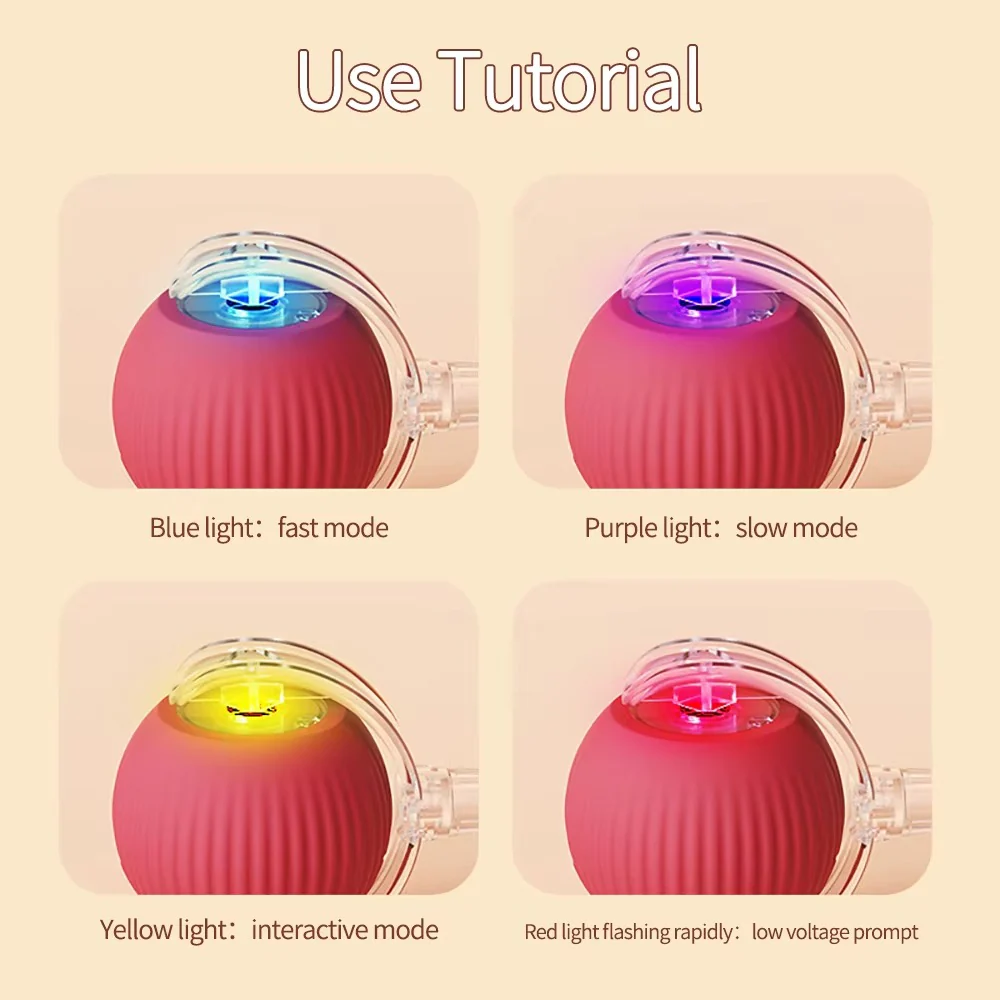 1 + 1 GRATIS IDAG | WhirlPaw™ - Image 4