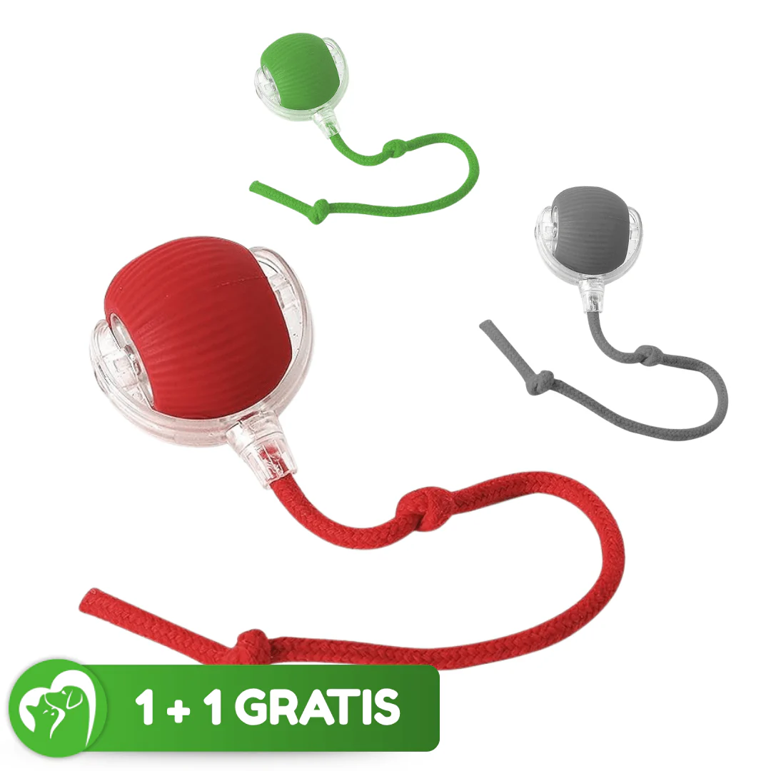 1 + 1 GRATIS IDAG | WhirlPaw™ - Image 7